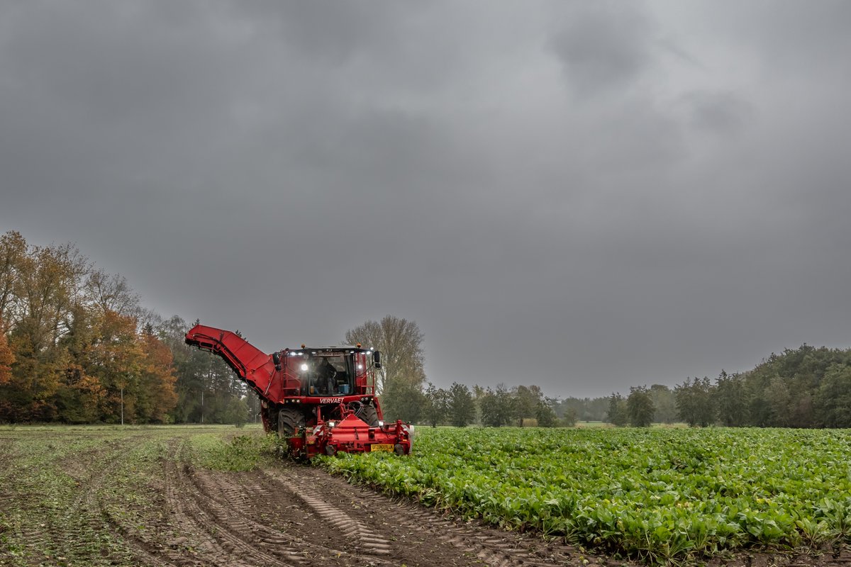 MWezemael's tweet photo. #vrtweer #weerfoto #herfst #Grembergen #landbouw #wolken #nikonphotography #weatherphotography https://t.co/YoRsXcDSBs
