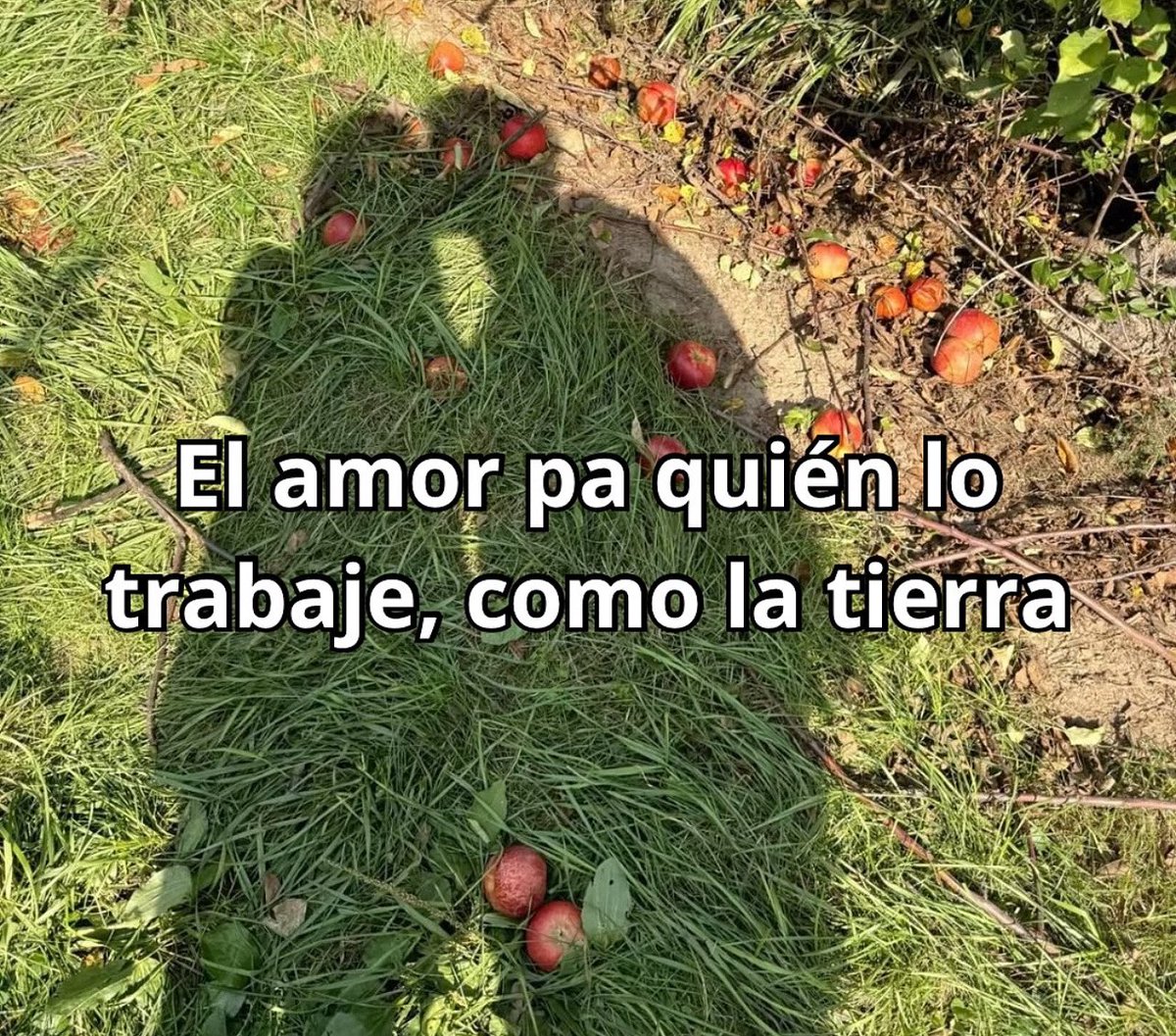 conoloracigarro's tweet photo. https://t.co/RRGHGgv0Bj