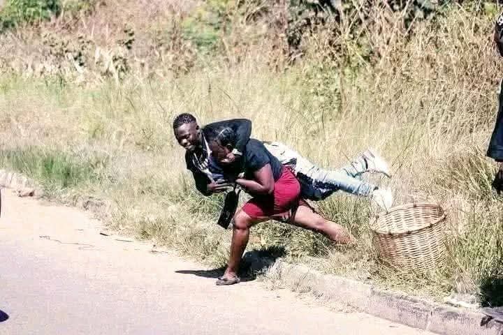 SAns🇿🇦 
~ when they see this, they would run for their lives. 
Zimboz🇿🇼

~When they see this, they would chase it with all their lives screaming " tjoor, meat, meat, meat. Ukubamba, ukubamba, asifuni kubadara"

Some jumping, some pushing eachother.