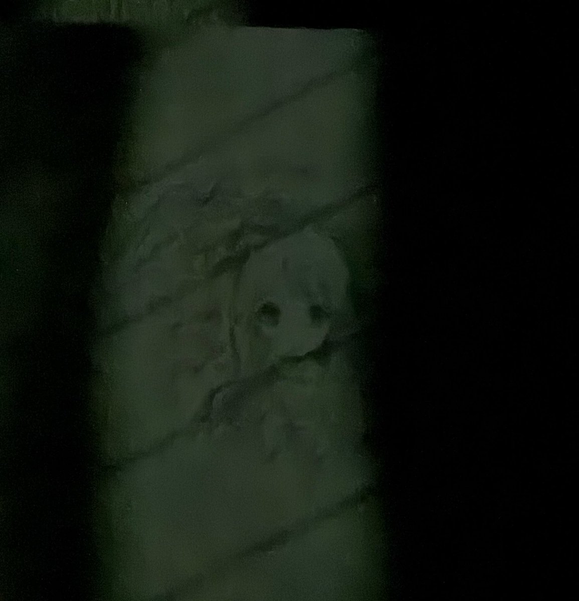 千慧 (@chisato_charme) on Twitter photo 