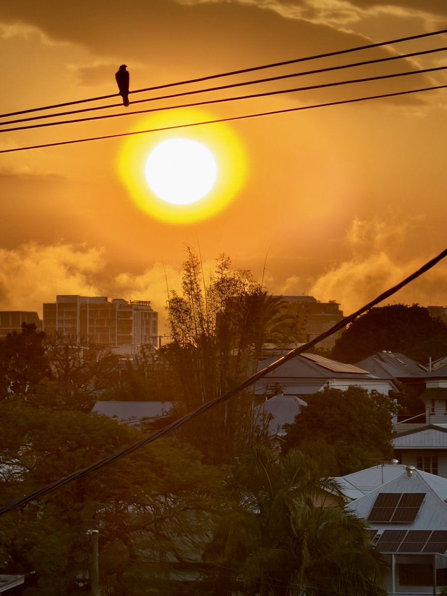 Sandro 🦖☄️ (@sgumz) on Twitter photo 