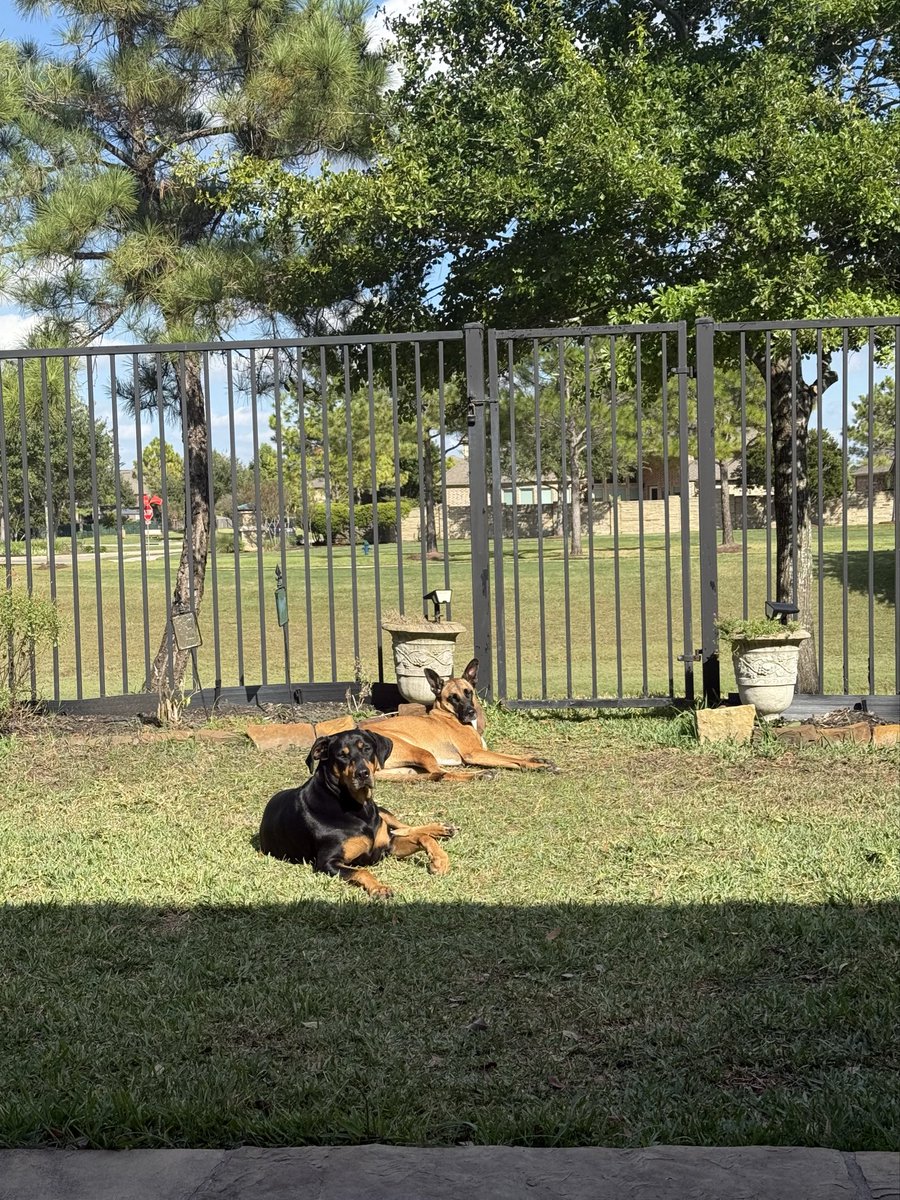 Good morning. Take time to invest in yourself and move your body! Solid workout this morning to start the day. Have a great day!