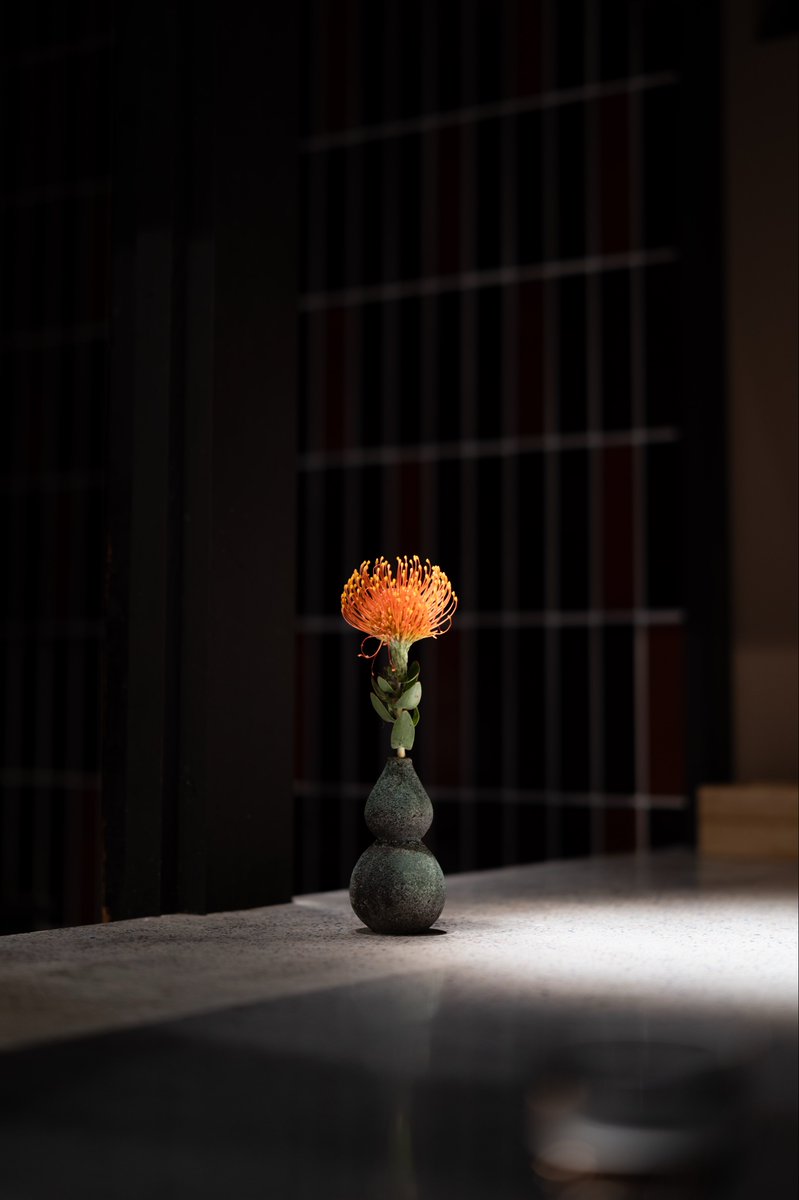 「Pincushion」

#pincushion