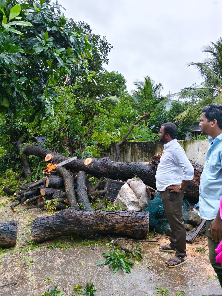 Adireddy_Vasu's tweet image. రాజమండ్రి లో 9 వ డివిజన్ పరిధిలోని శ్రీనివాస నగర్ లో తుఫాన్ వల్ల బలమైన గాలుల ప్రభావంతో నేలకొరిగిన చెట్లను తొలగించి వాహనదారులకు ఇబ్బందులు లేకుండా చేశాం, అలాగే నగర వ్యాప్తంగా గాలికి విరిగి పడిన చెట్లను సిబ్బంది వెంటనే తొలగిస్తున్నారు. 

#CycloneAlert
#CycloneMontha
#cyclone…