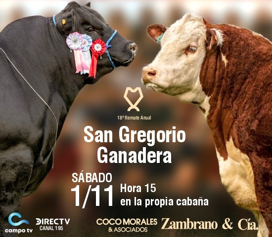 San Gregorio Ganadera remata sus Angus y Polled Hereford este sábado 1° en la propia estancia, en Soriano. La actividad estará a cargo de los escritorios Coco Morales &amp; Asociados y Zambrano &amp; Cía. A propósito, conversamos con Federico Fernández.
soundcloud.com/user-856587651…