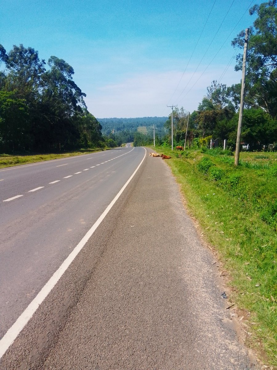 Decided to walk in the 🌞 today to detach from work and life stress 
#qualitycontrollconstruction