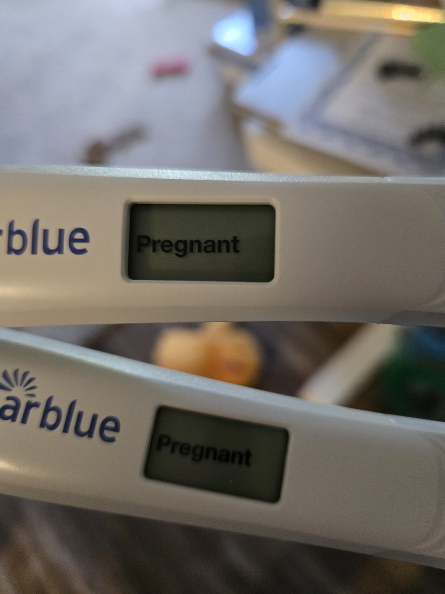 So I have come to make an announcement... ♡ — <a href="/CoShockerREAL/">CoShocker The Red Panda</a>