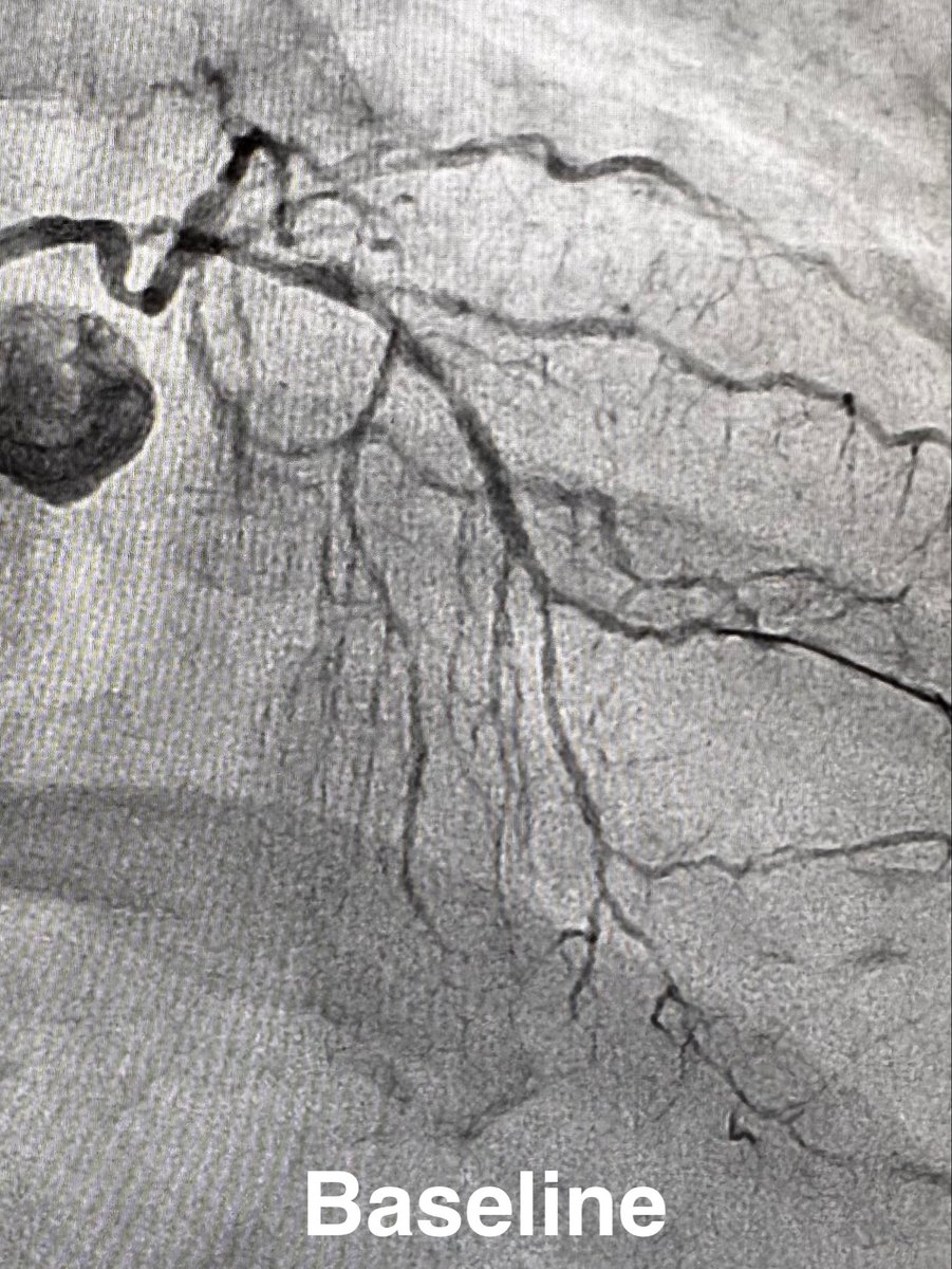 Salman Arain tweet media