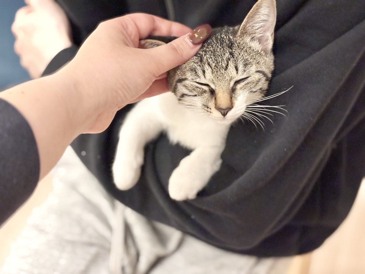 飼い主ふたりにかまってもらえてうれしそうです