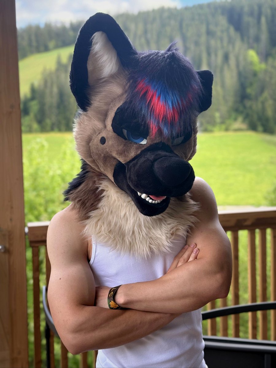 Echo Shep 🌈 tweet media