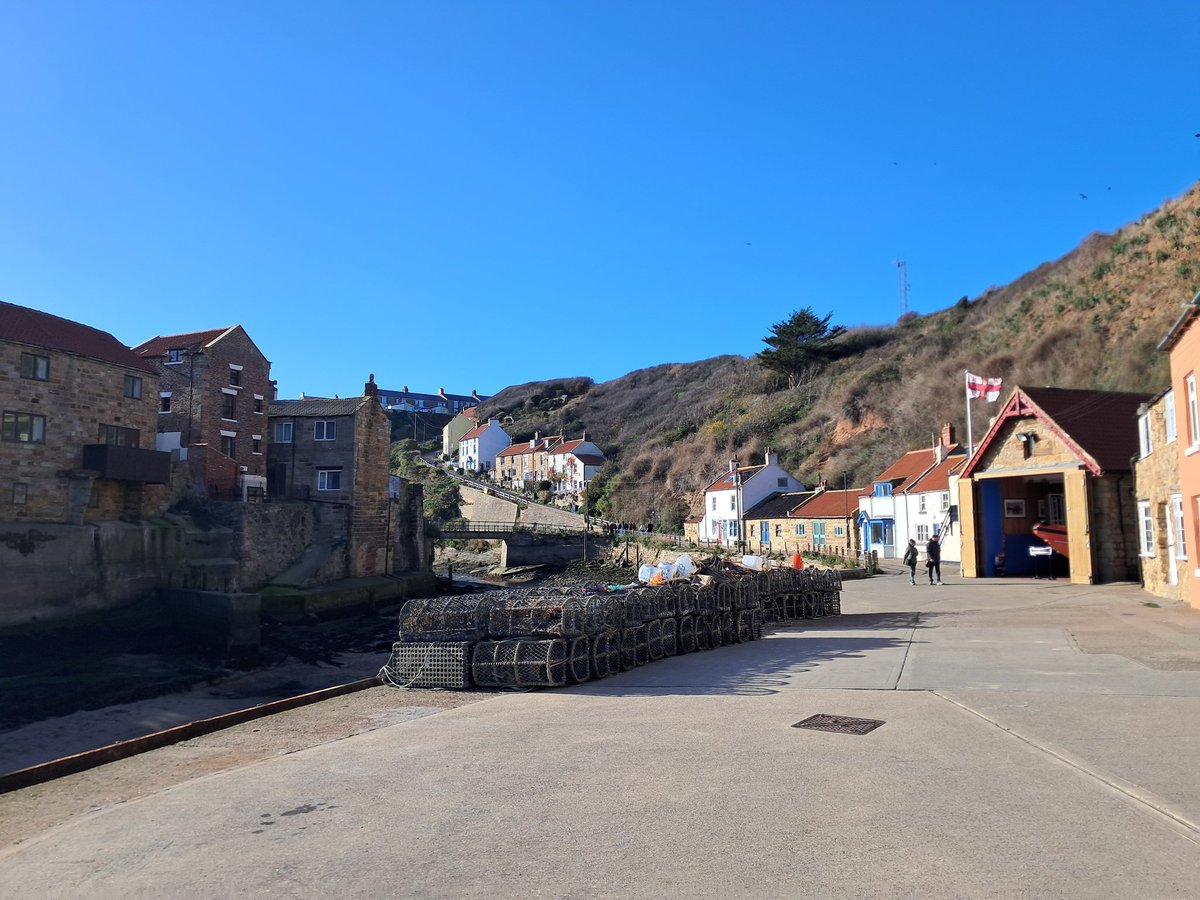 WikMorrell tweet media