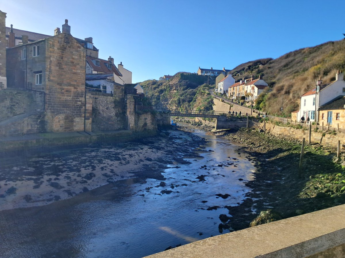 WikMorrell tweet media