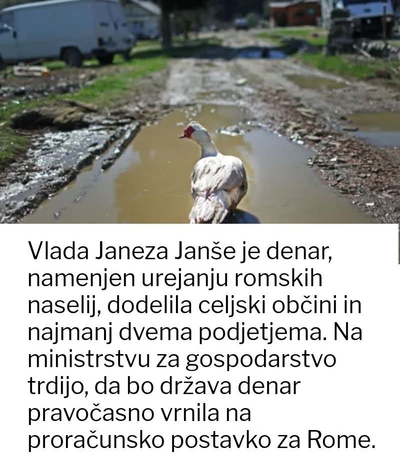 Svetli se ven vleče in igra na karto rešitelja! Ovcke bodo pa veselo sledile!
