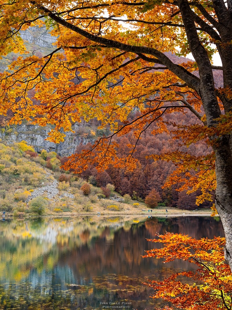 turismoER's tweet photo. Autunno d’Appennino 🧡
In giro per l’Appennino Emiliano, tra laghi e cascate
https://t.co/HlnV8p2D7w
#EmiliaRomagnaSlow #inEmiliaRomagna
#VisitEmilia #VisitModena #BolognaWelcome https://t.co/PRJdVeB1fn