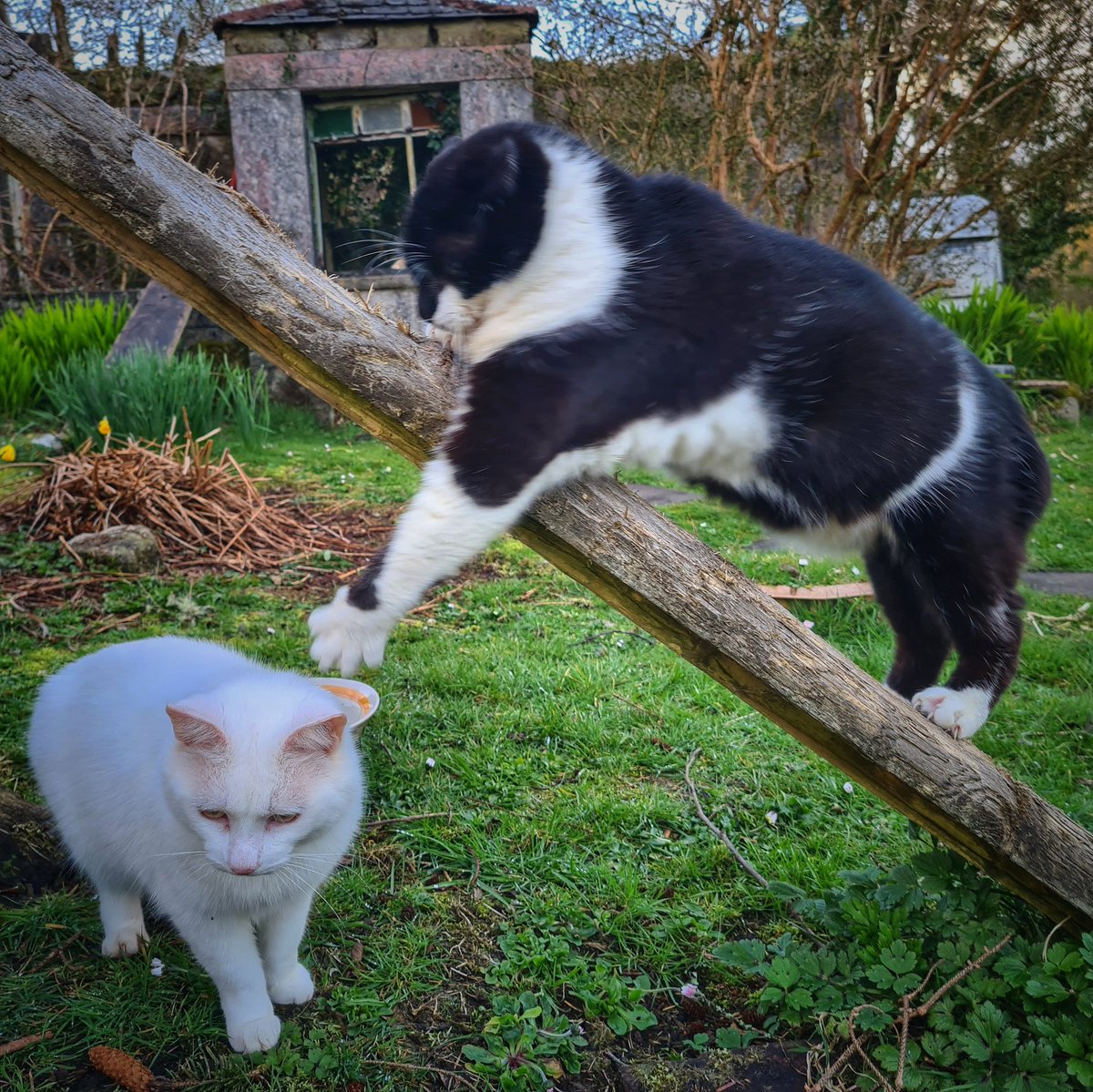 Good Afternoon 🤞 🌄 ☕ ❤️