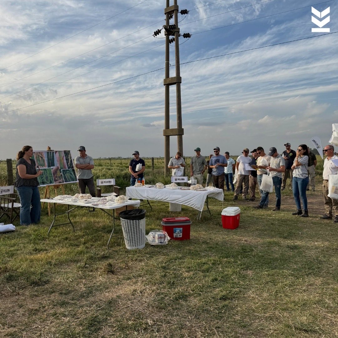 Klein Semillas tweet media