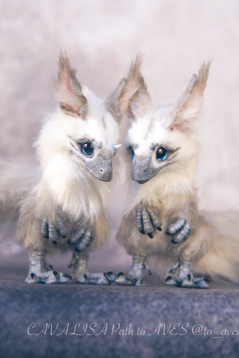 作家様　アートドール CAVALISA/アートドール作家 (@to_aves) / Posts / X