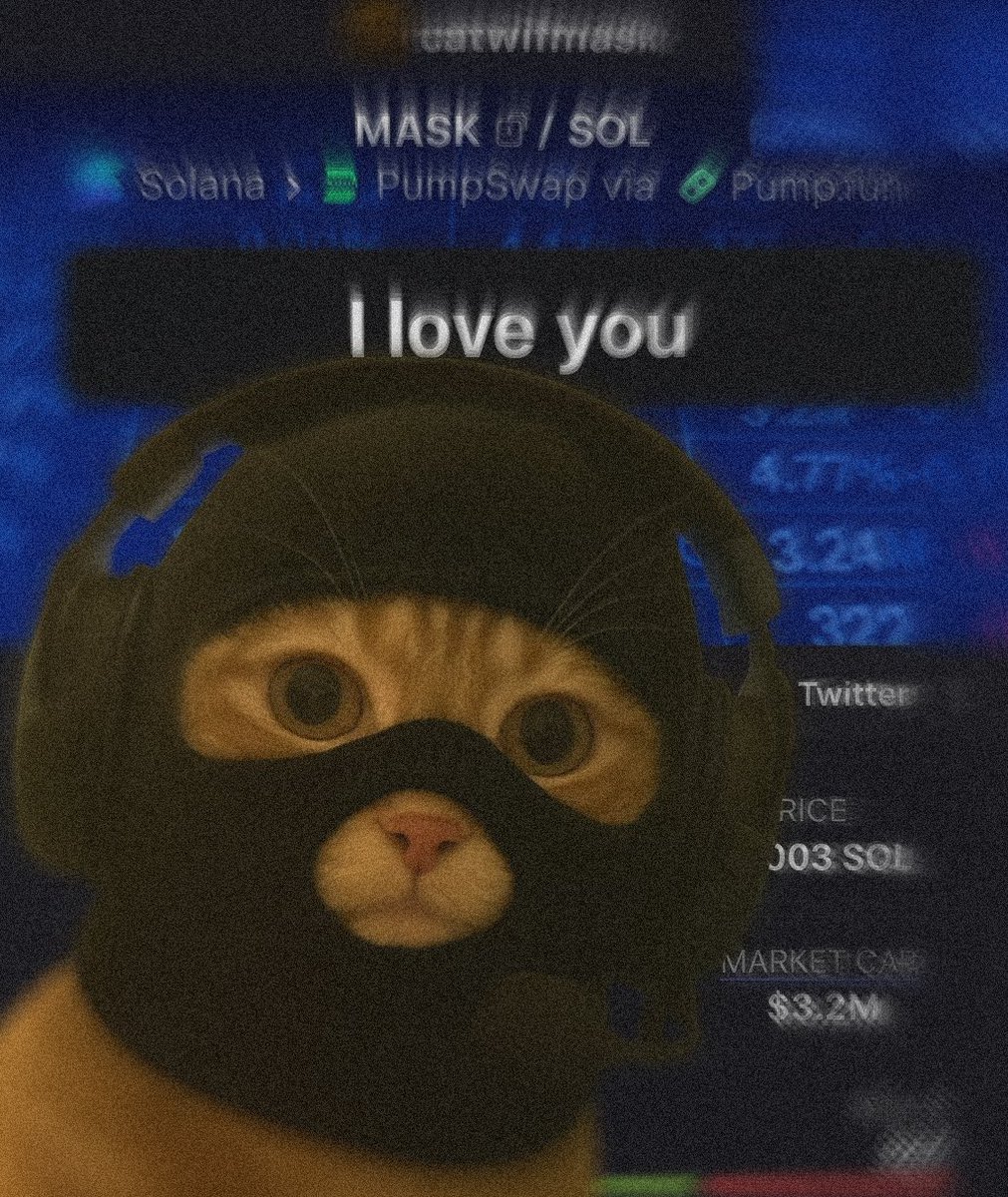 thecatwifmask's tweet image. ily