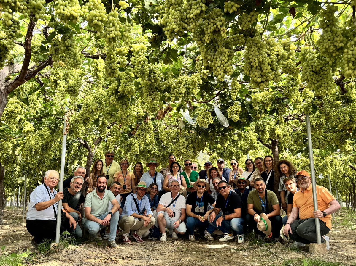 crtotana's tweet image. La semana pasada recibimos en la Comunidad de Regantes de Totana a un grupo de técnicos y agricultores franceses interesados en conocer cómo gestionamos el agua de forma eficiente, desde la planificación hasta su aplicación en campo.

#RiegoEficiente #GestiónDelAgua