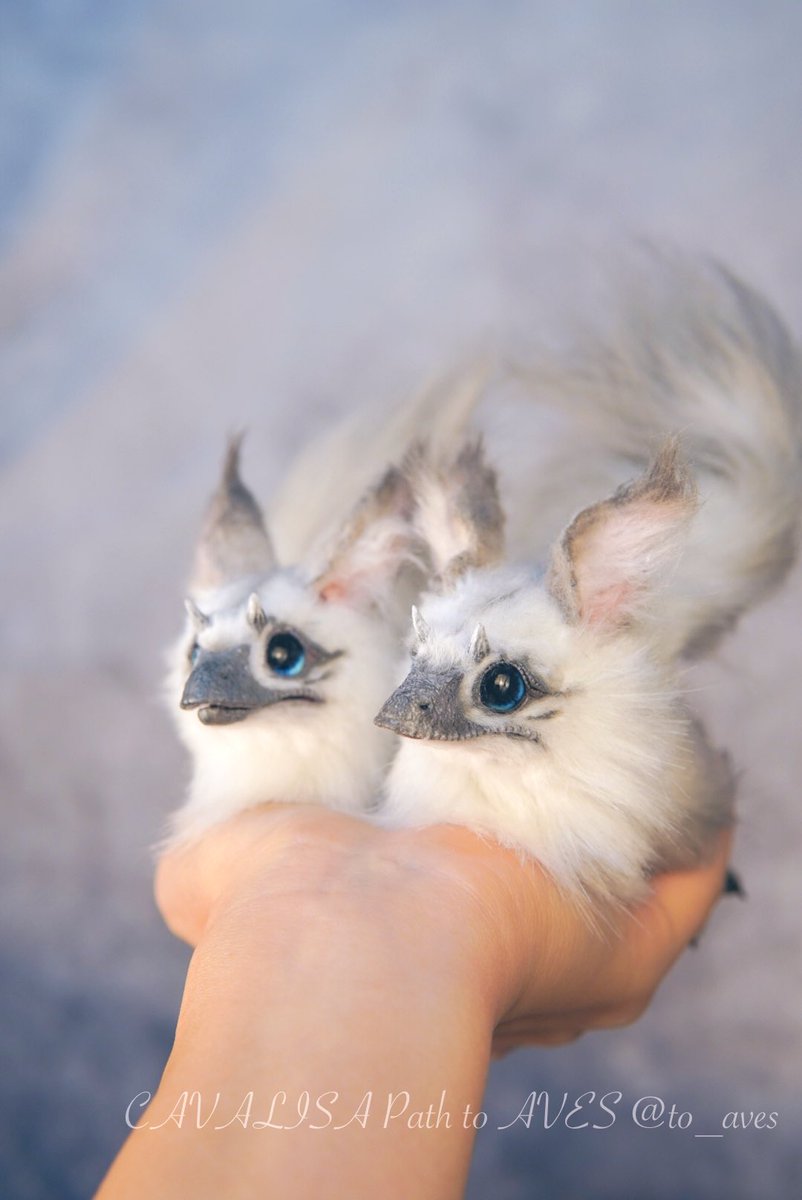 ⚠️最終値下げ⚠️　海外作家様作　アートドール　太っちょ猫 CAVALISA/アートドール作家 on X