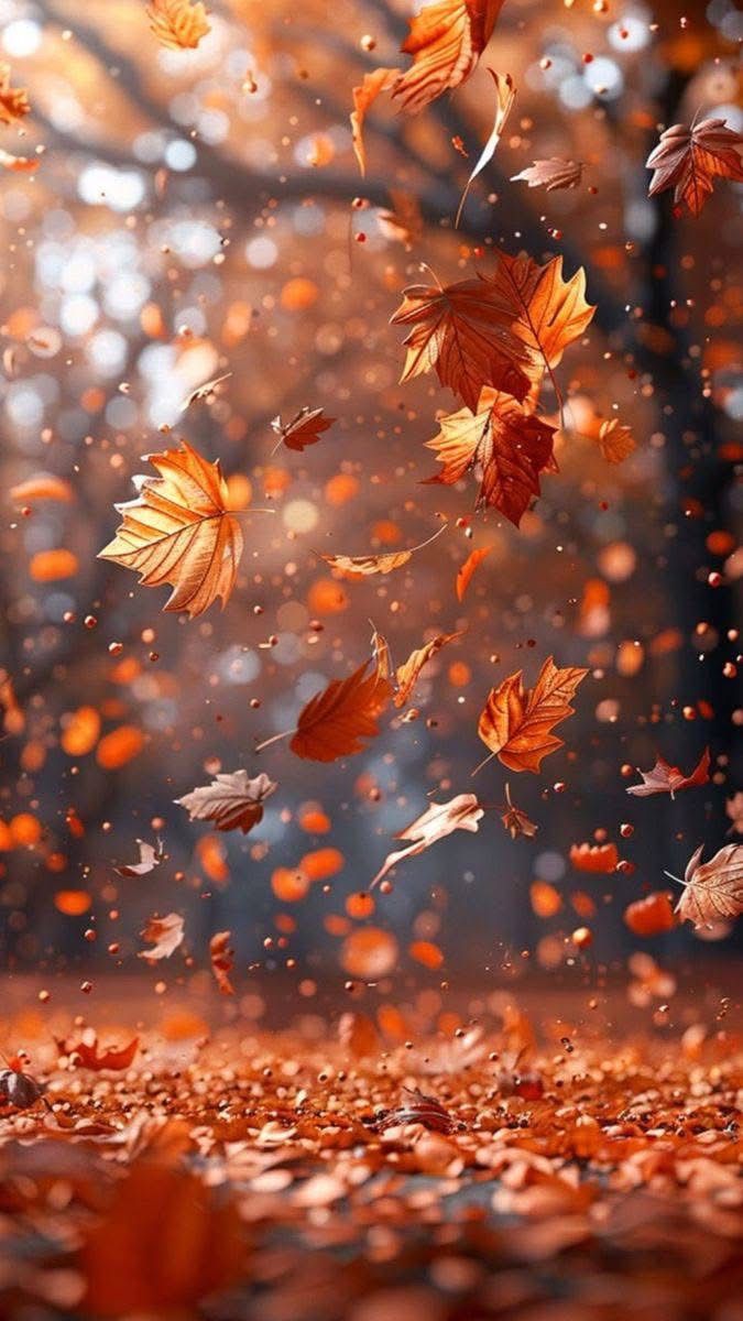 _mostlypat's tweet image. The last,
tender leaves
of autumn
falls,
carefree
dancing,
holding
onto the hope of new ....... 💜

#15WordPoet 
#patstring