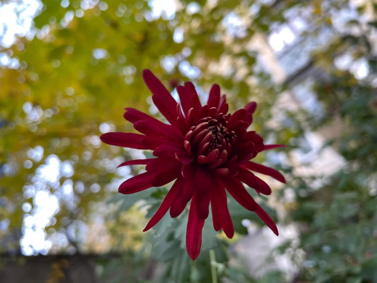 Психолог Стефаненко Максим (@psychologist_ua) on Twitter photo 