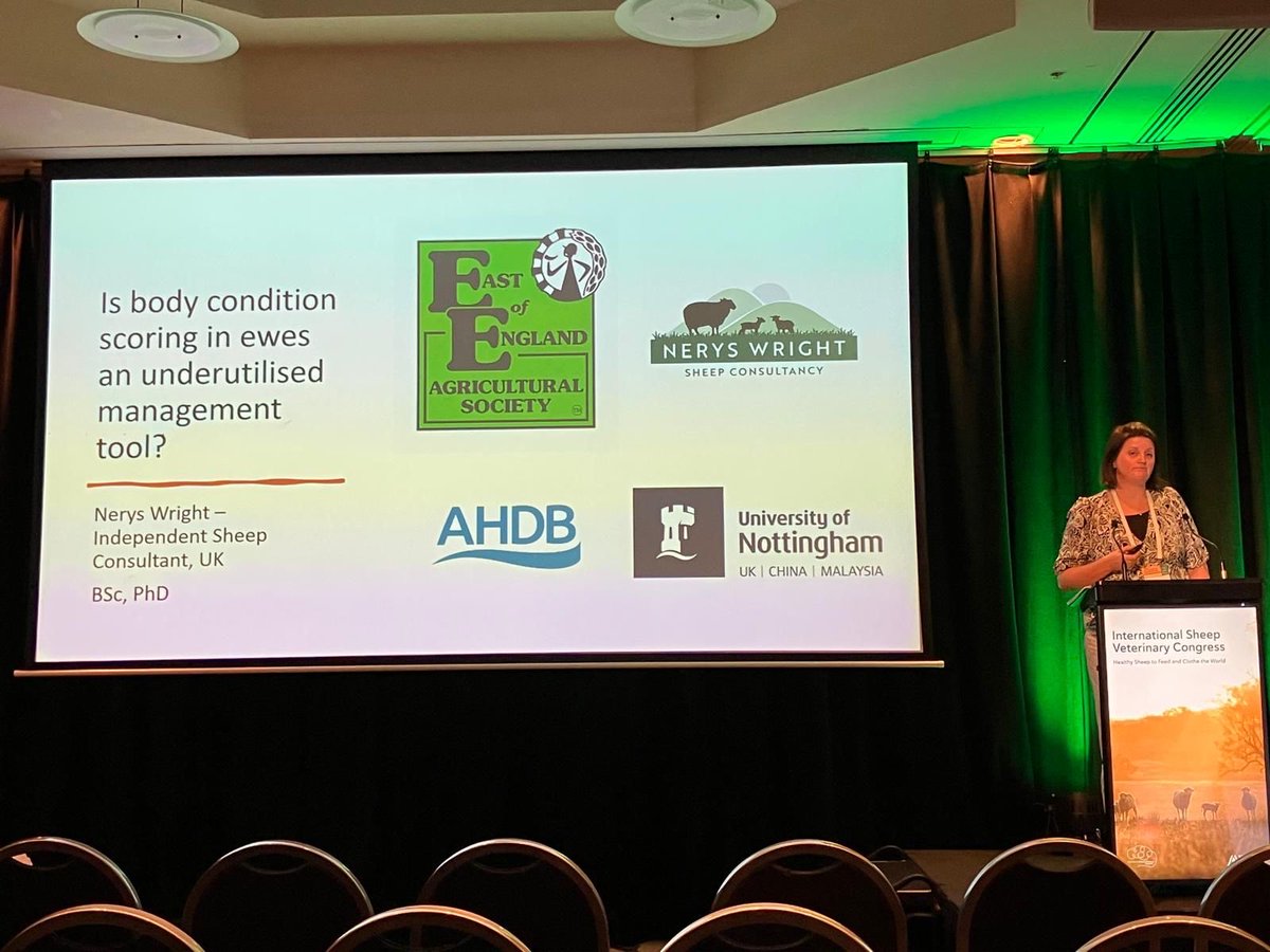 Nerys Wright tweet media