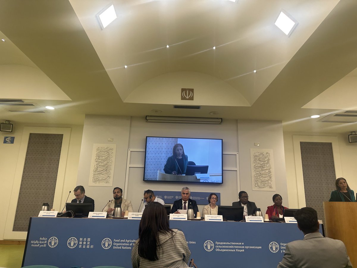 Oggi alla <a href="/FAO/">Food and Agriculture Organization</a> sul tema “The Role of the Interfaith Dialogue in Realizing the Right to Food for All”