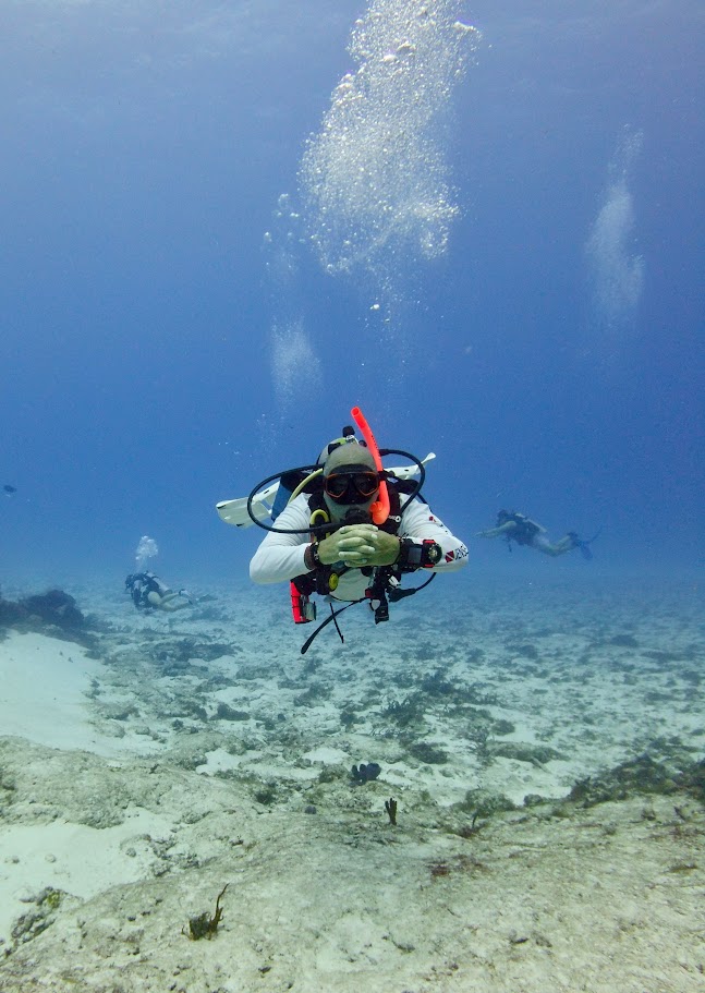 bdavido's tweet photo. Just wanted to take a moment to say thank you 📷
To everyone who’s been sending folks my way—whether they’re looking to become certified divers or take their diving careers to the next level—I’m truly humbled by your trust and referrals.
Your support means the world.
Namaste! 📷 https://t.co/MkptROfhVm