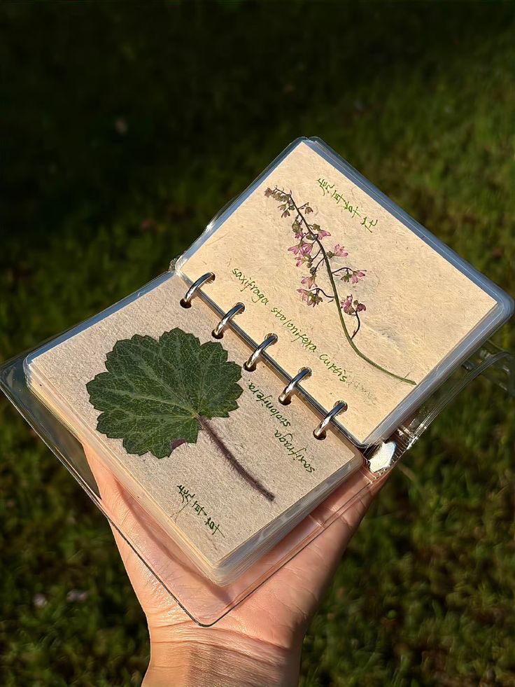 greenvibe's tweet image. 