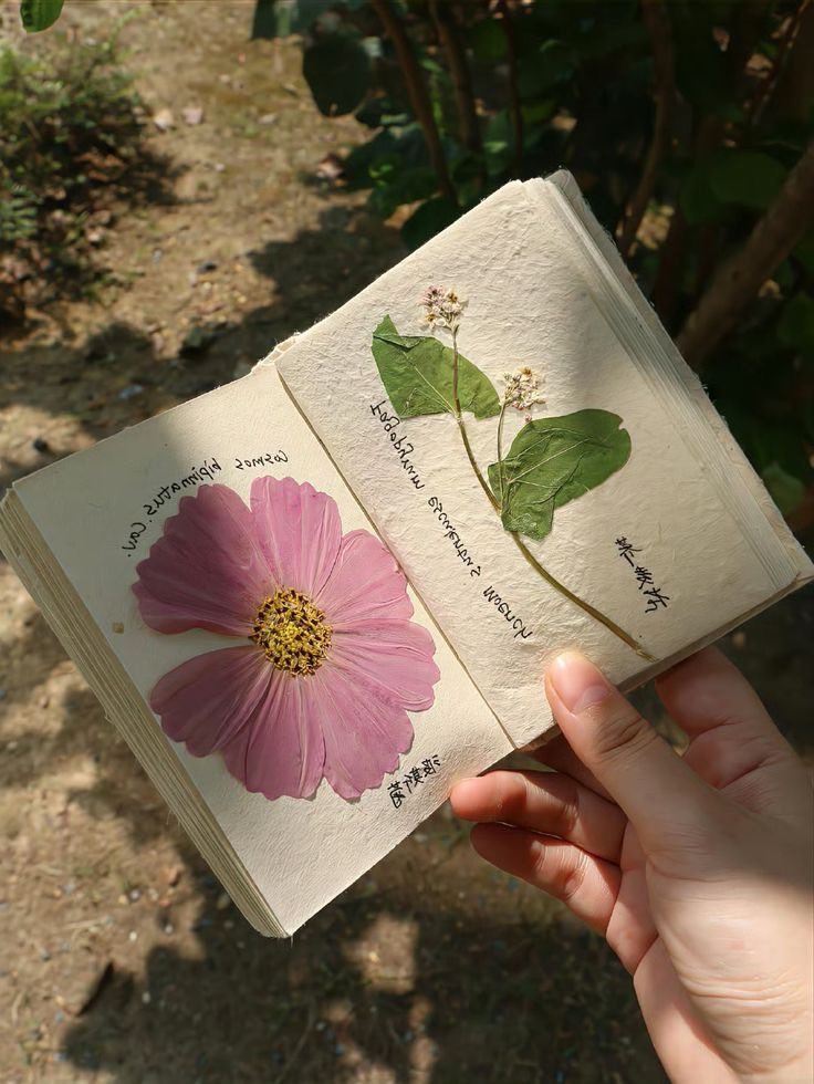 greenvibe's tweet image. 