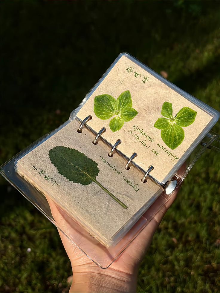 greenvibe's tweet image. 