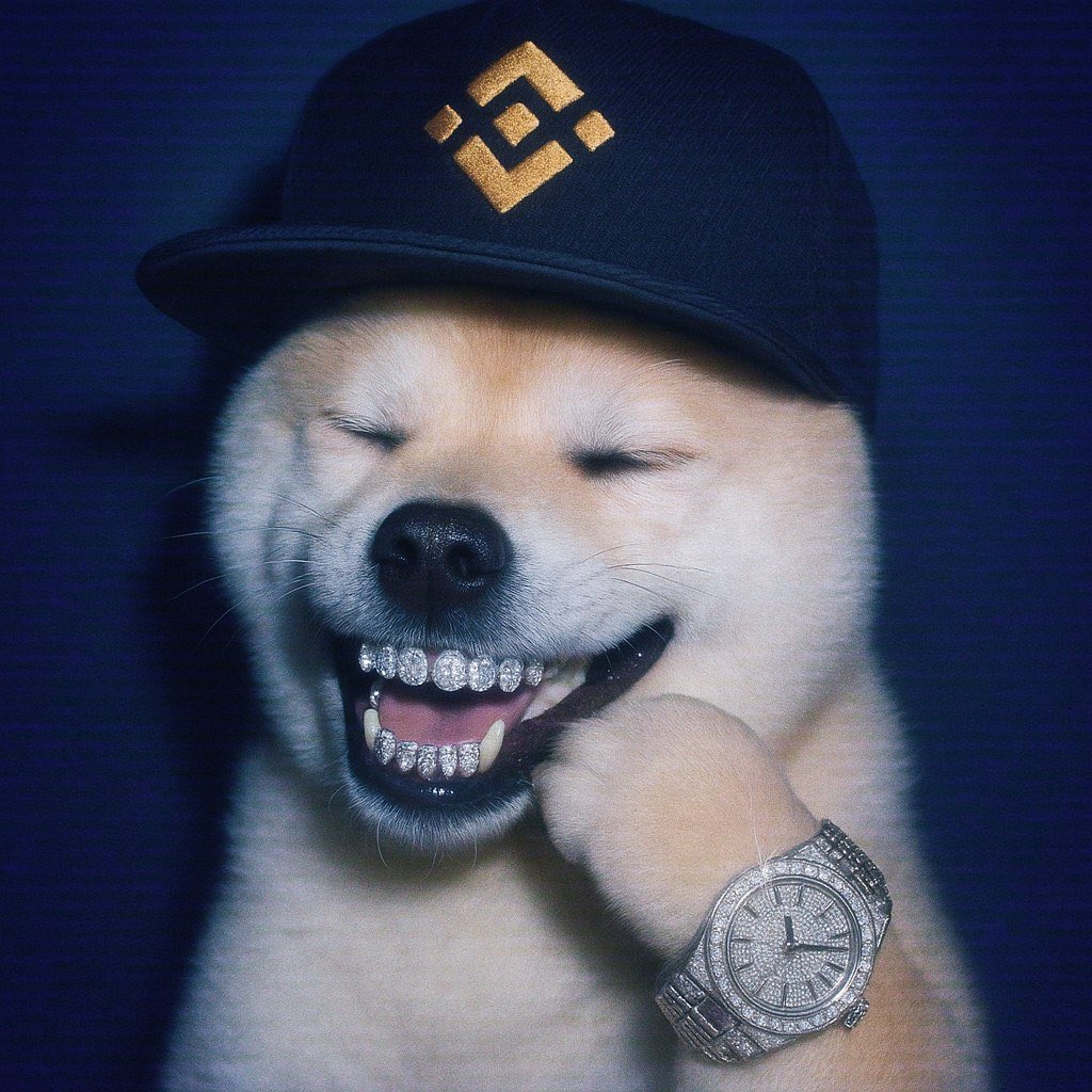 $PUP repricing is imminent 

<a href="/thebrianjung/">Brian Jung</a> helped the $SKI pump from -/+ 5M to 360M and he will do the exact same thing with the biggest BNB dog