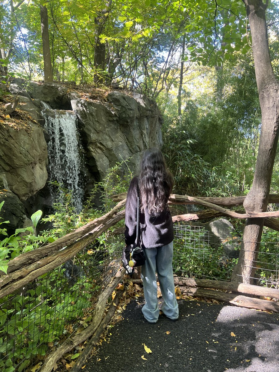 FpcaWest's tweet photo. Students enjoyed a wonderful day exploring the landscapes of the Bronx Zoo! Lots of “oohs” and “ahhs” as they connected classroom learning to real-world experiences. Mrs. Ross and Mrs. Romeo orchestrated a fun-filled day of discovery—and the fall foliage was stunning!#WHerARTS https://t.co/6dGut6ZYIe