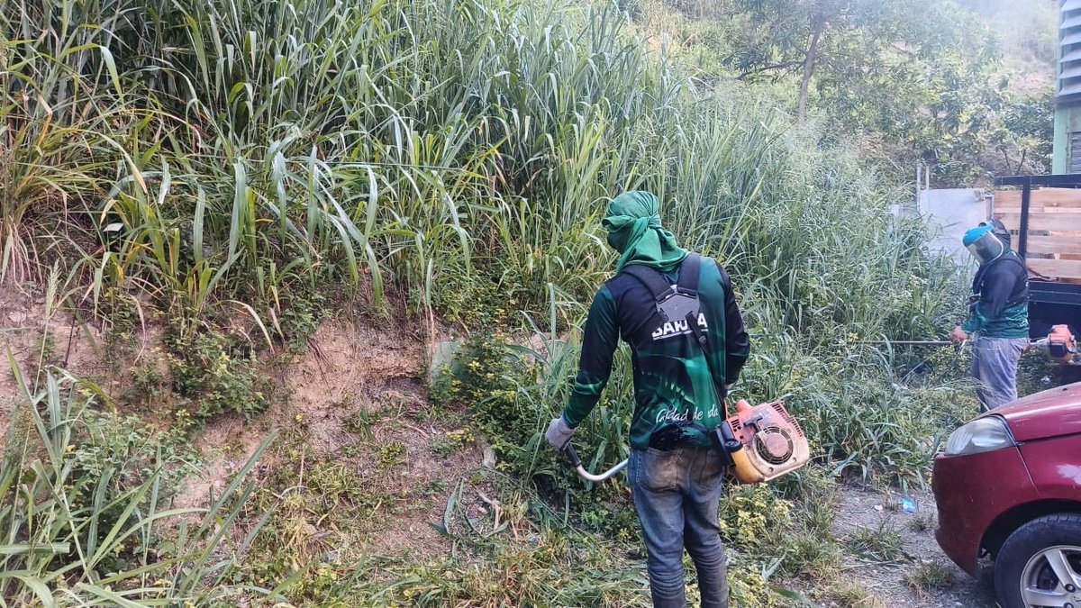 Nuestra cuadrilla de #AcciónInmediata se encuentra desplegada en las calles del #Municipio realizando labores de:

🍃Desmalezado y limpieza:
📍Urb. #LosSamanes 
📍Sector. #SantaCruz