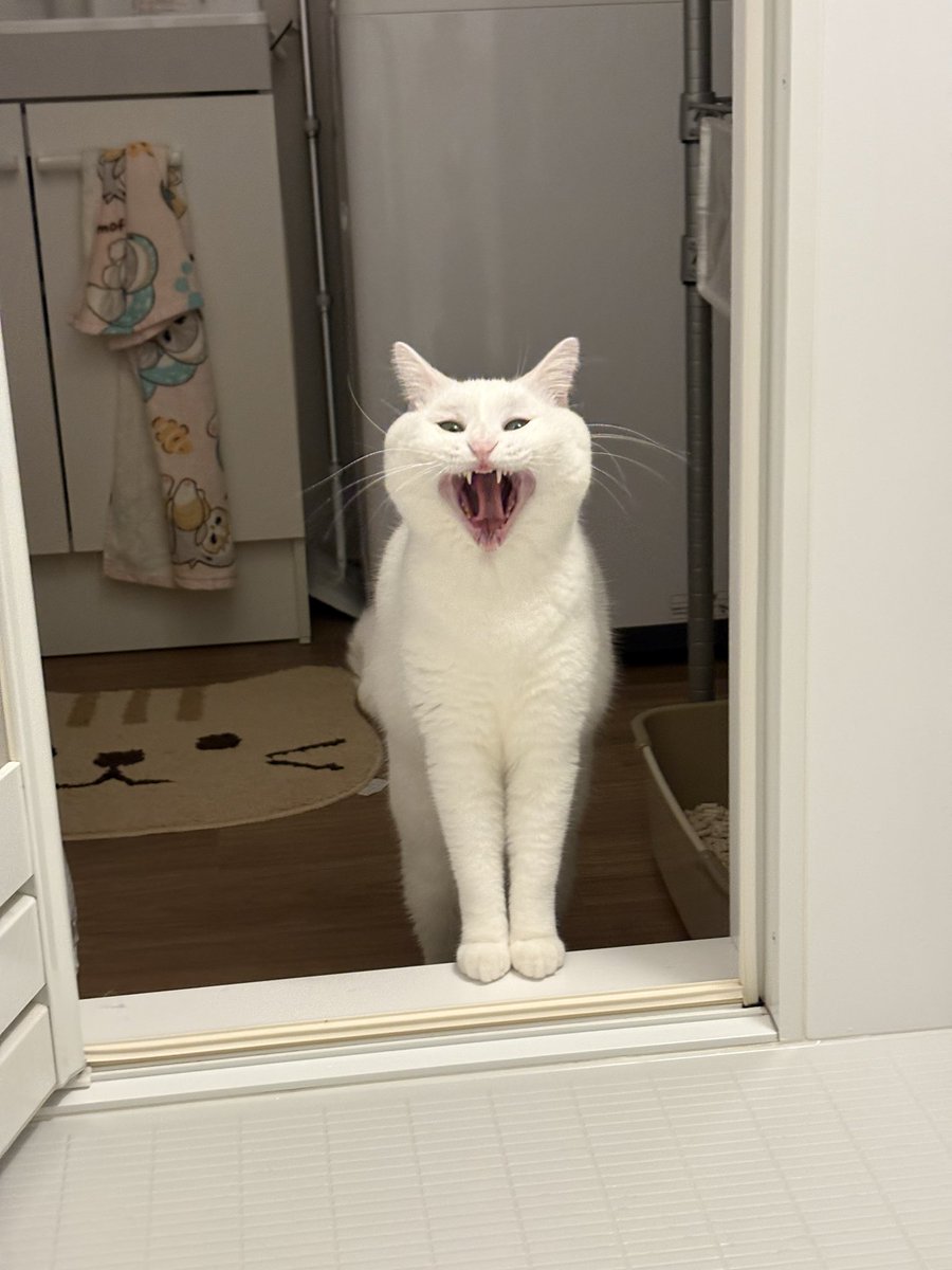 メルペコ様☆ 専用ページ しんぺー on X