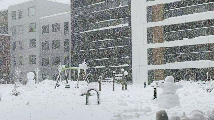 Jon K. Agustsson tweet media