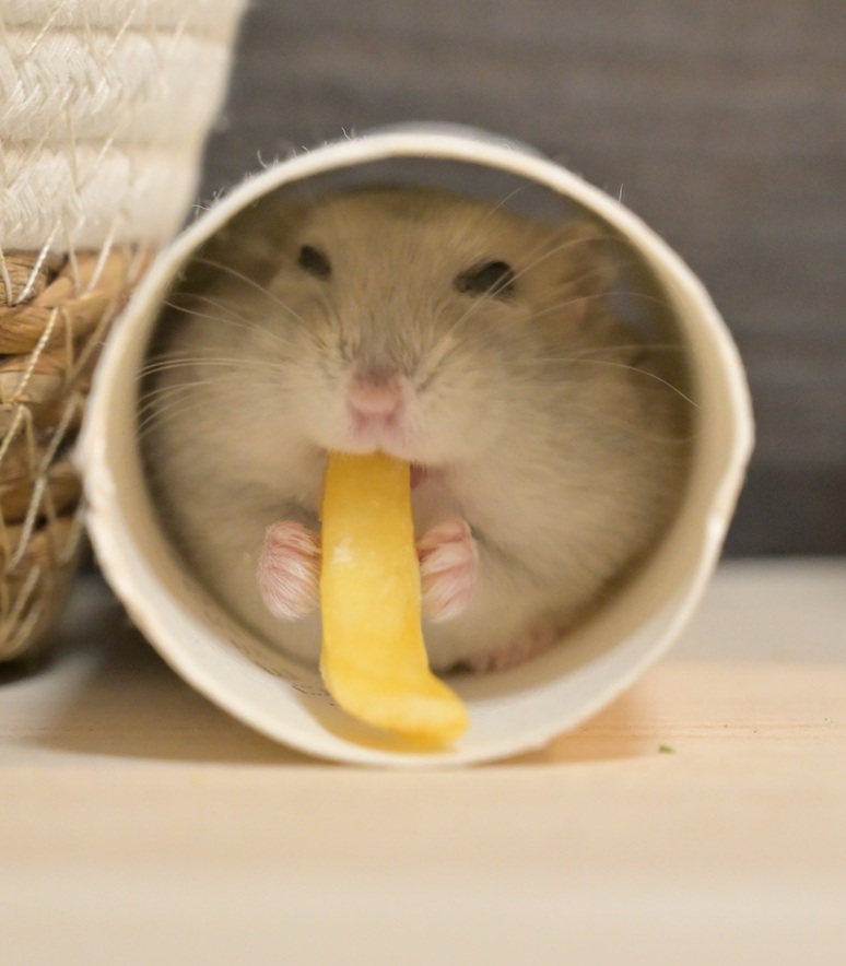 ペロ木村 (@S5ROvu7uvUr8RO5) / Posts / X