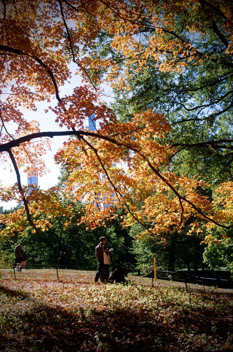 Antonio 🇵🇷 (@boyingenes) on Twitter photo 