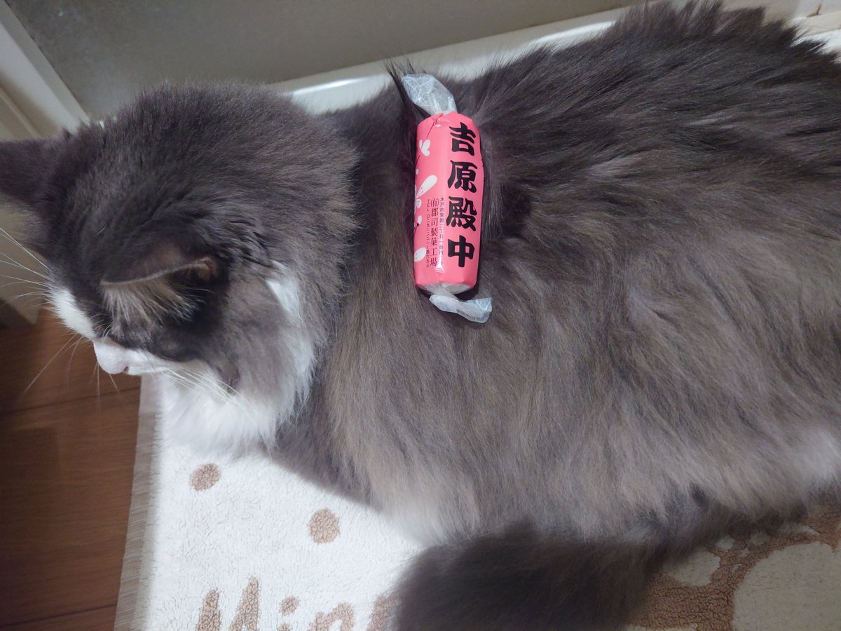 かずもも（もっさん） on X