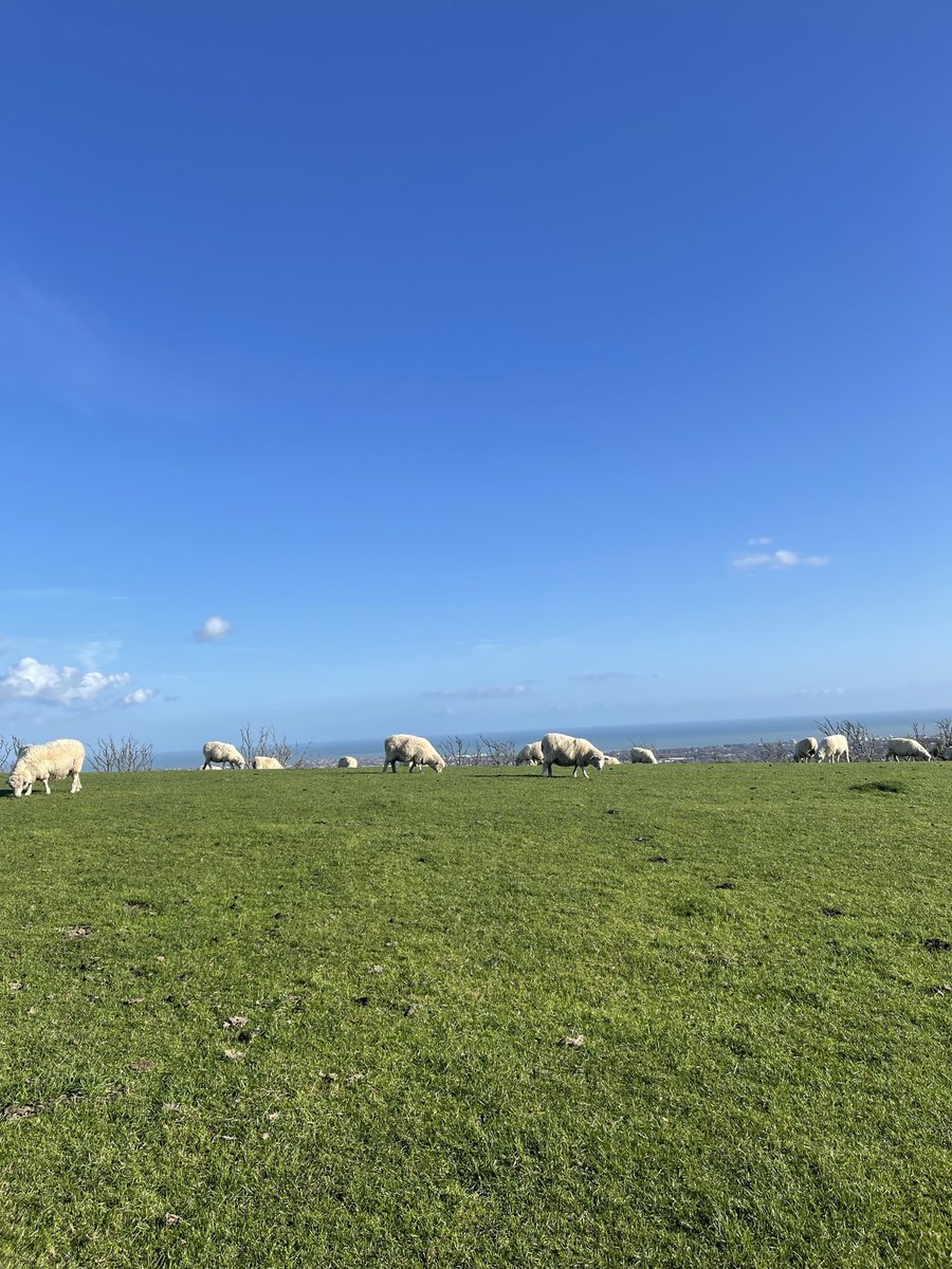 Breach Mike tweet media