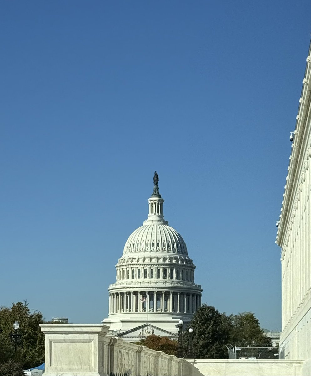 CZ Golden Statue tweet media