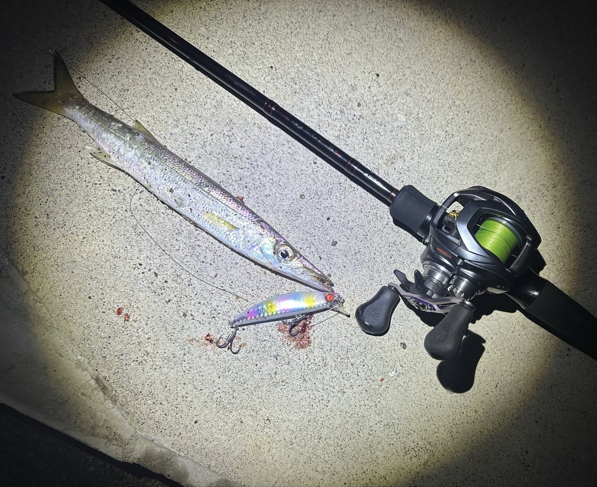 フィッシングパパ パパアングラー on X