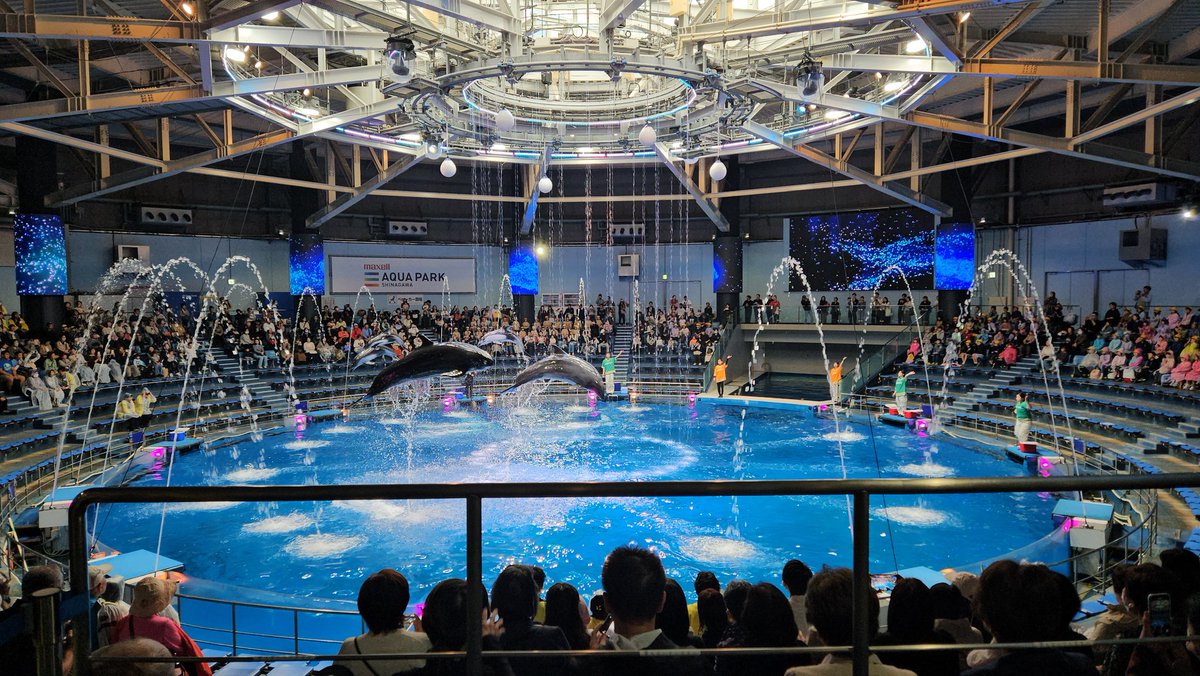 最近、たまにしかポストできていませんが、元気です。

先日、アクアパーク品川へ行ってきました。
秋を感じました🍁