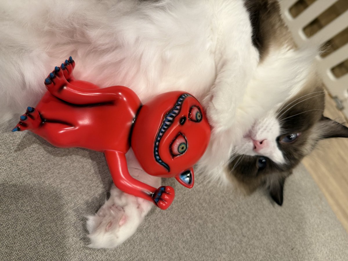 彩虹一線様(⁠ ⁠´⁠◡⁠‿⁠ゝ⁠◡⁠`⁠) IXA on X