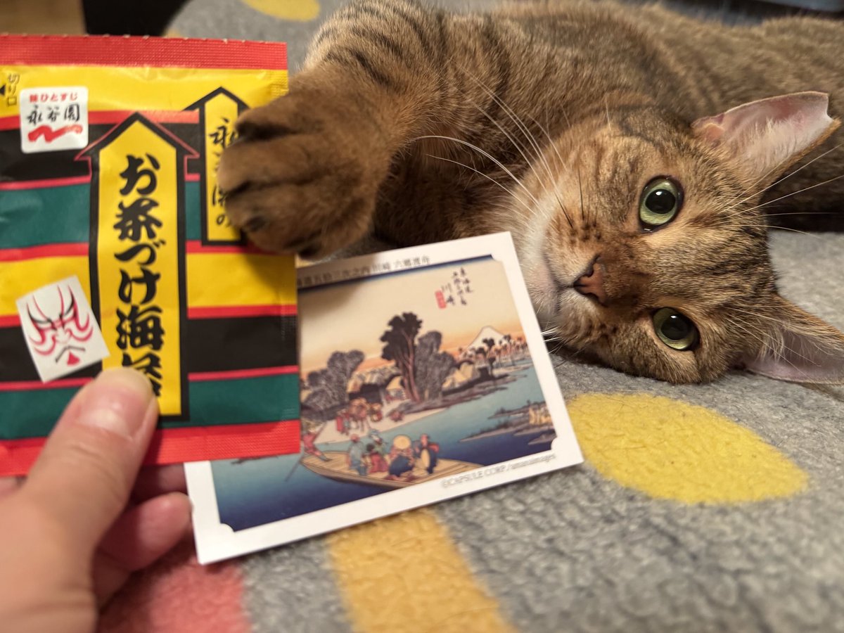 ドローイング　届いた言葉。 （海辺に小瓶の漂う。） ドローイング届いた言葉。 （海辺に小瓶の漂う。）