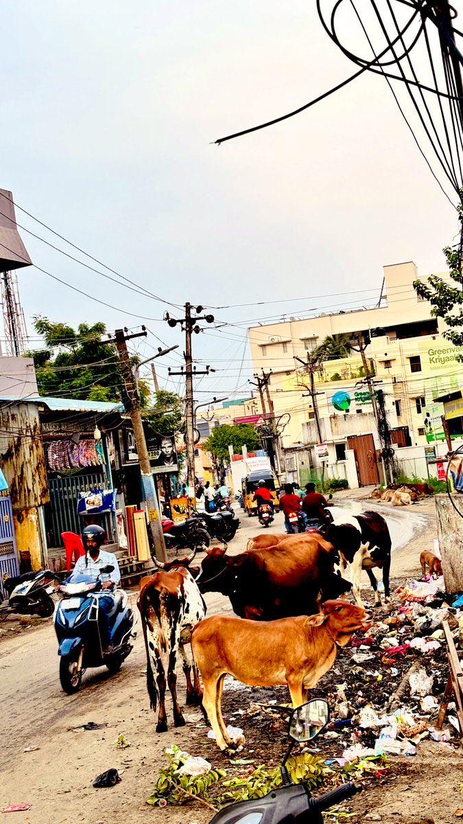 Muru17787's tweet image. Let’s keep spreading images and videos of rain affected roads and places of Chennai/TN
and copy national medias 

This DMK govt should be named and shamed all over India

@saravofcl 
@SiluvaM_ 
@madraspaiyan_ 

 #SingaraPotholeCHENNAI