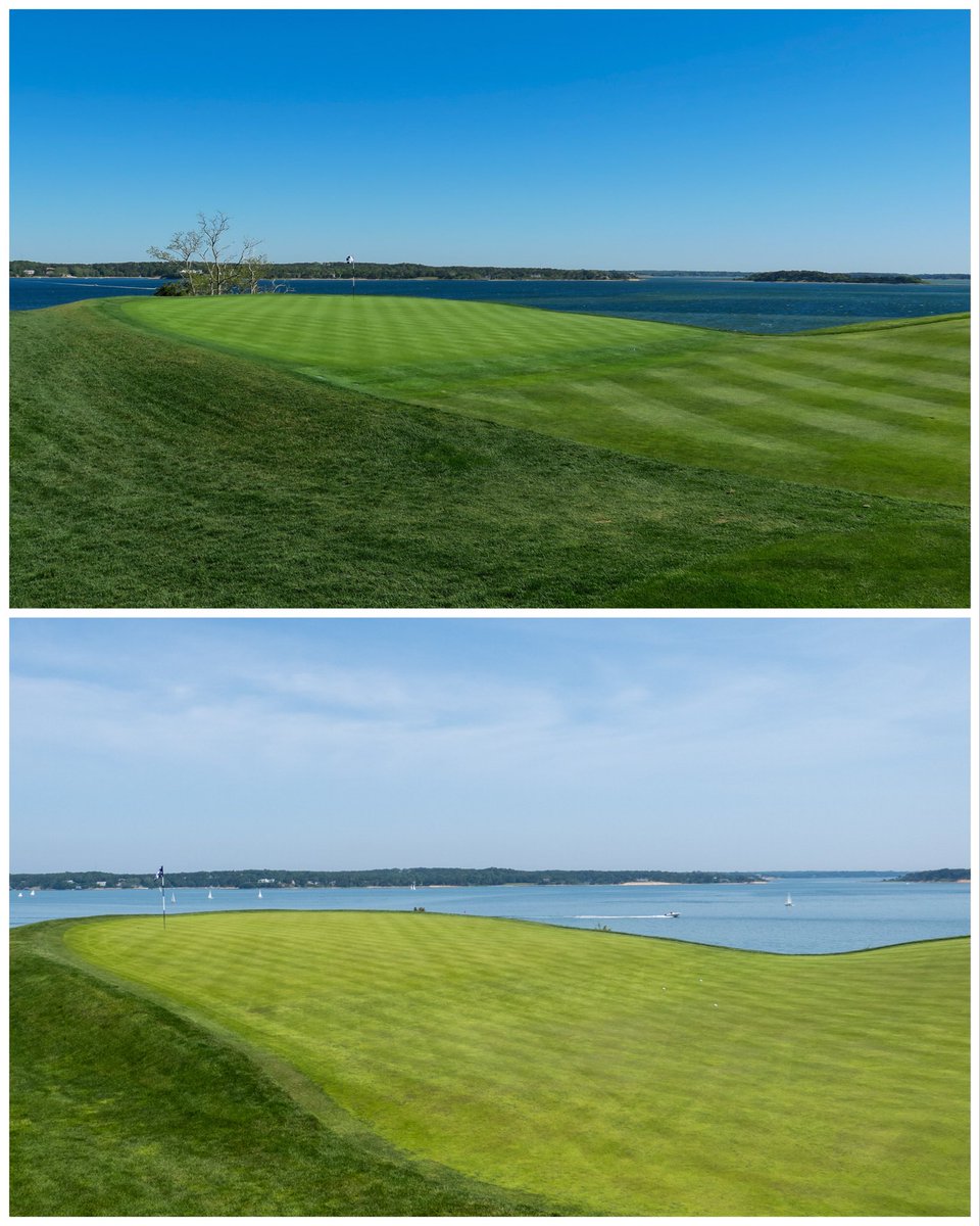 Jed Moller tweet media