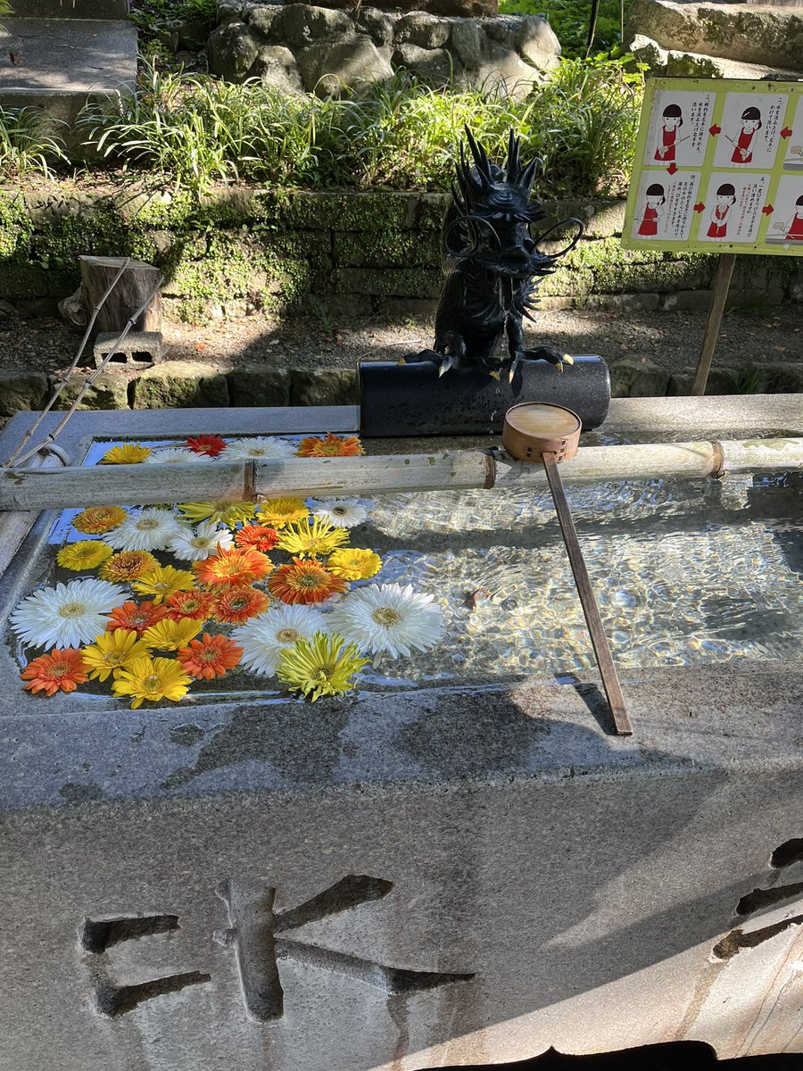 CAT 縁起もの ニチフ 絶縁キャップ 黒 TIC 22 15個入 | 電線・電材 通販