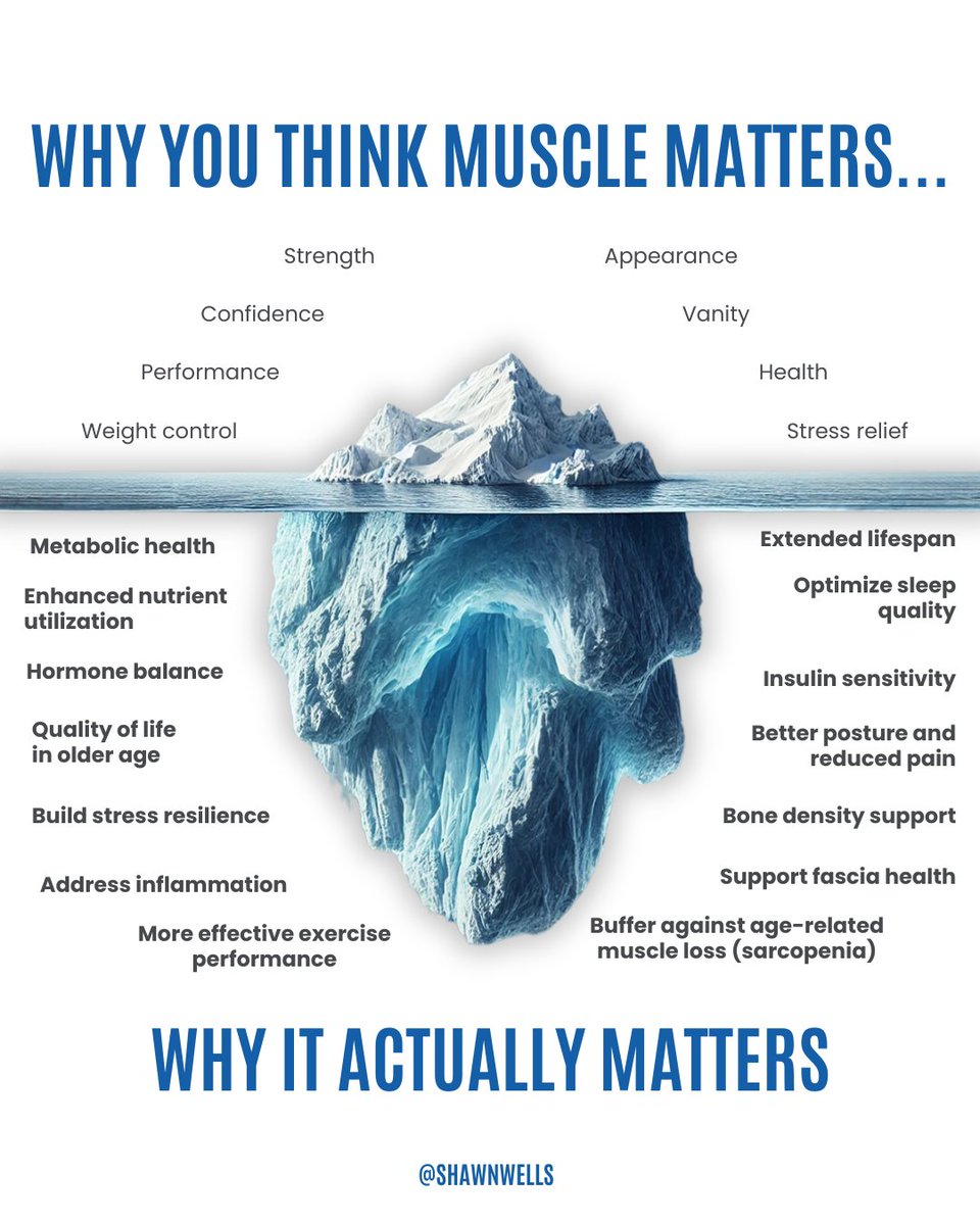 I used to think building muscle was all about looking good in the mirror. Truth is, that's just the tip of the iceberg.

What lies beneath the surface fundamentally transforms your entire wellbeing,far beyond what most people realize.